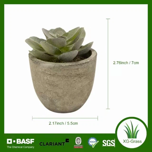 Lifelike Mini Succulent Art suppliers
