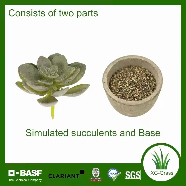 Lifelike Mini Succulent Art best