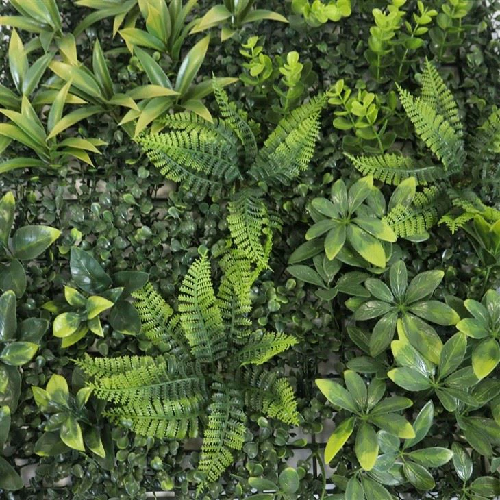 Living Green Wall Indoor