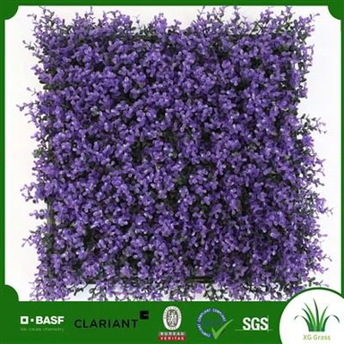 Cây trồng trong nhà Vườn thẳng đứng