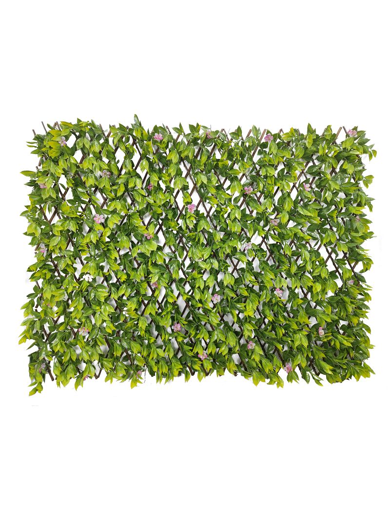 product-800-1067 product-800-1067