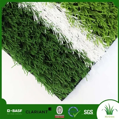Cỏ nhân tạo Field Turf