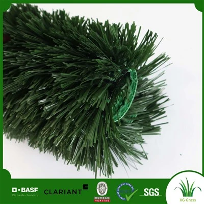 Bề mặt sân cỏ bóng đá