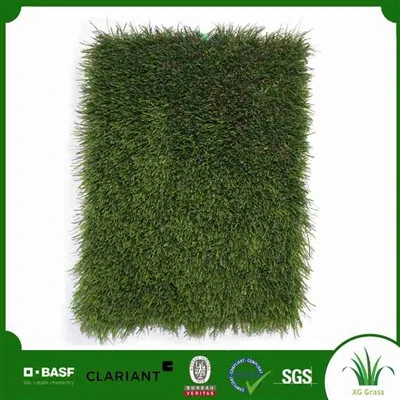 Sân Trước Có Cỏ Nhân Tạo