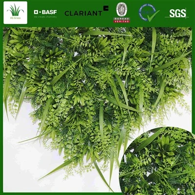 Tường cỏ trong phòng ăn