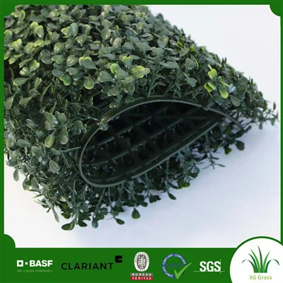 Trang trí tường cỏ xanh