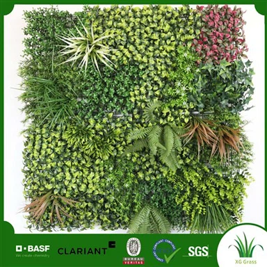 Cây treo tường nhà