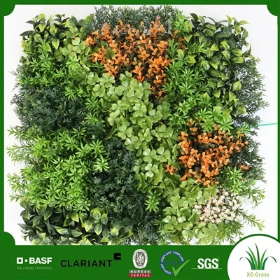 Tường gỗ hoàng dương trong nhà