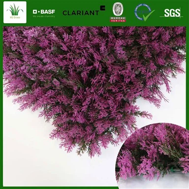 Tường hoa trong nhà