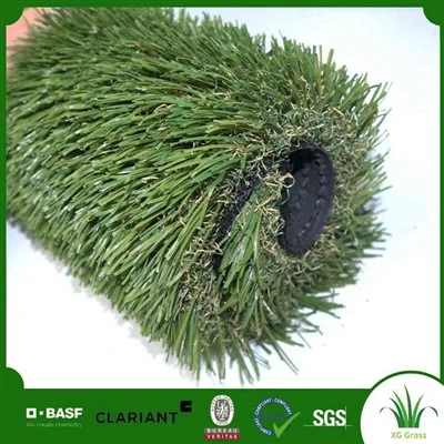 Cảnh Quan Với Cỏ Nhân Tạo