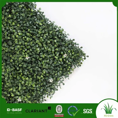 Vườn tường sống trong nhà