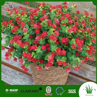Hoa hồng cảm ứng thực sự