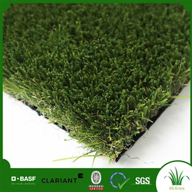 Cỏ sân vườn cho sân thượng