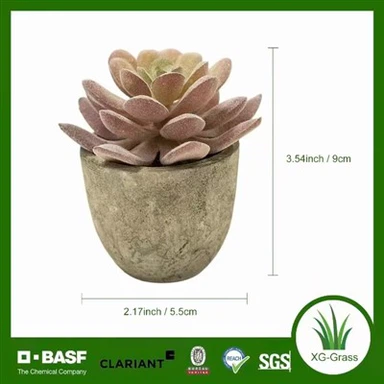 Trang trí mọng nước mini không phai