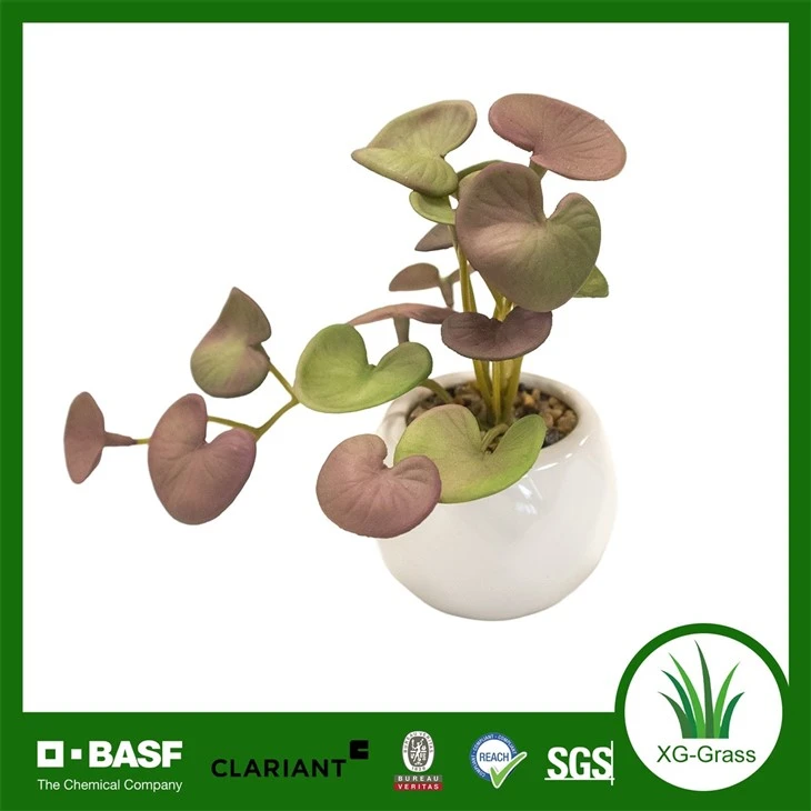 Xingu Faux Succulent Arrangements For Indoor And Outdoor Spaces suppliers