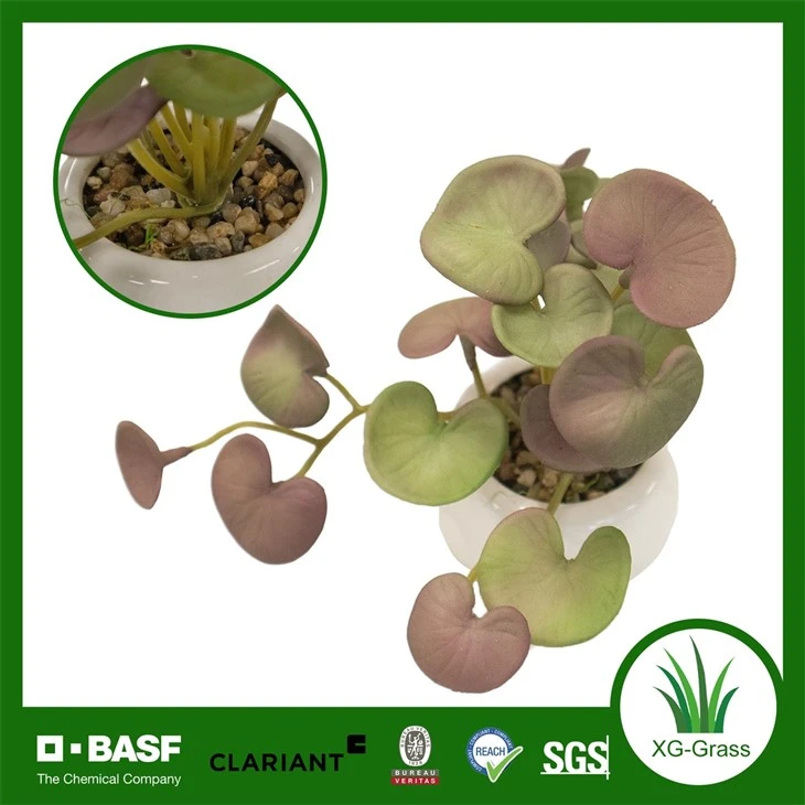 Xingu Faux Succulent Arrangements For Indoor And Outdoor Spaces best